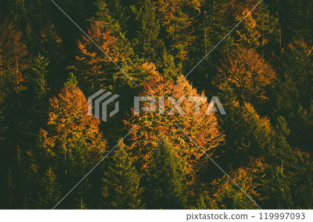 Autumn mountain landscape 119997093