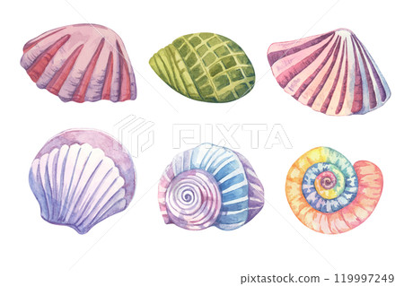 A set of watercolor shells in various colors and shapes. Underwater mollusk clipart bundle ideal for seamless pattern designs, kids' room decorations, or summer event flyers. Aquatic life collection A set of watercolor shells in various colors and shapes. Underwater mollusk clipart bundle ideal for seamless pattern designs, kids' room decorations, or summer event flyers. Aquatic life collection 119997249