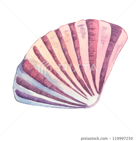 A purple and pink fan-shaped watercolor shell illustration. Cockle shell clipart, suitable for ocean-themed stationery, tote bags, or bathroom decor products. Marine underwater life A purple and pink fan-shaped watercolor shell illustration. Cockle shell clipart, suitable for ocean-themed stationery, tote bags, or bathroom decor products. Marine underwater life 119997250