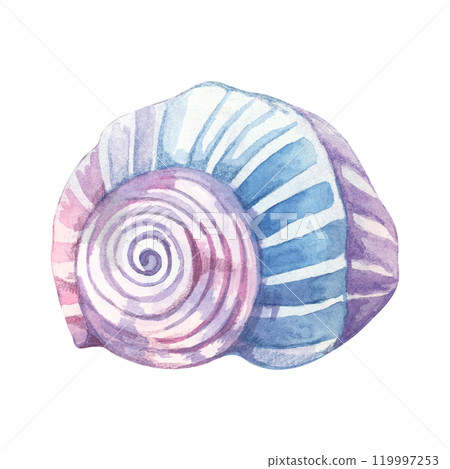 Spiral seashell in blue and lavender watercolor tones. Moon snail shell clipart. Marine life whimsical illustration works beautifully on notebook covers, fabric patterns, or any coastal decor product Spiral seashell in blue and lavender watercolor tones. Moon snail shell clipart. Marine life whimsical illustration works beautifully on notebook covers, fabric patterns, or any coastal decor product 119997253