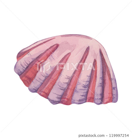 A pink watercolor shell clipart with ridges. Scallop shell illustration beach-themed apparel, underwater mollusk drawing for scrapbooking, or product packaging for ocean-inspired brands. Marine life 119997254