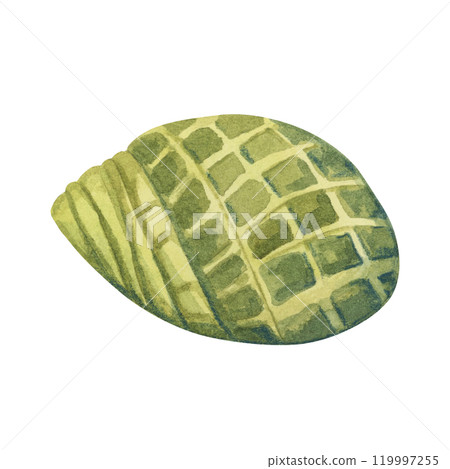 A green watercolor shell illustration. Turban snail shellfish clipart, aquatic whimsical mollusk perfect for beachy or marine-inspired merchandise like throw pillows, phone cases, or greeting cards A green watercolor shell illustration. Turban snail shellfish clipart, aquatic whimsical mollusk perfect for beachy or marine-inspired merchandise like throw pillows, phone cases, or greeting cards 119997255