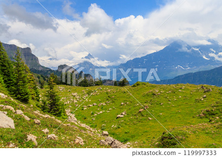 Panoramic view of snow-covered Swiss Alps and green flowering alpine meadow near Schynige Platte in Bernese Oberland, Switzerland Panoramic view of snow-covered Swiss Alps and green flowering alpine meadow near Schynige Platte in Bernese Oberland, Switzerland 119997333