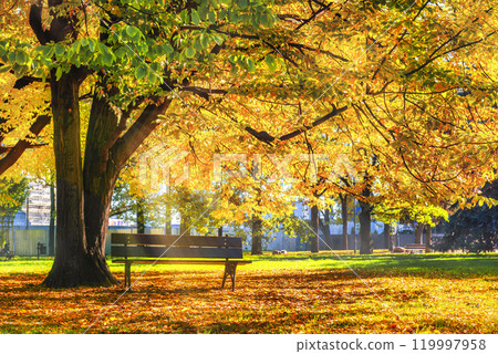 Autumn park in Warsaw Autumn park in Warsaw 119997958