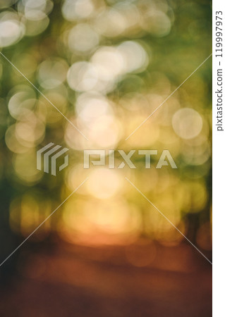 abstract green nature forest bokeh Background abstract green nature forest bokeh Background 119997973