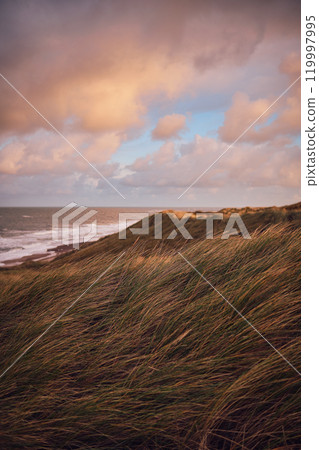 Dunes at danish west coast in the evening Dunes at danish west coast in the evening 119997995