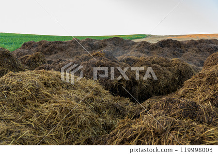 Mounds of freshly harvested straw are scattered across a lush rural field, basking in the golden light of the late afternoon sun. A picturesque farming landscape unfolds beyond 119998003