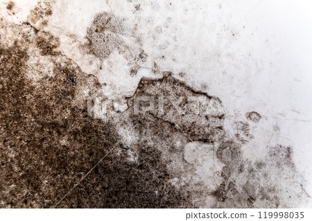 A close-up view of mold growth covering a wall, illustrating the effects of moisture and potential structural damage in a damp environment A close-up view of mold growth covering a wall, illustrating the effects of moisture and potential structural damage in a damp environment 119998035