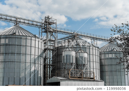 Tall metal grain silos stand at an agricultural facility, surrounded by green trees under a partly cloudy sky. This structure supports efficient grain storage and transport Tall metal grain silos stand at an agricultural facility, surrounded by green trees under a partly cloudy sky. This structure supports efficient grain storage and transport 119998036