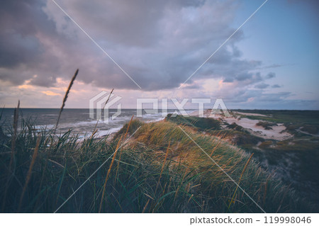 Overview over dunes in evening light at danish west coast 119998046