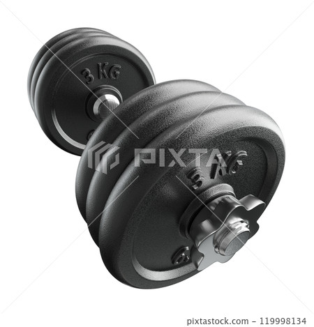 Cast Iron Black Adjustable Dumbbell, weightlifting gym equipment, wide angle view, isolated on white background. 3D illustration 119998134