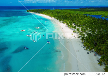 Tropical Caribbean beach from above, Dominican Republic 119998164