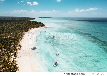 Tropical Caribbean beach from above, Dominican Republic Tropical Caribbean beach from above, Dominican Republic 119998172