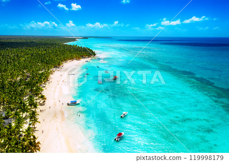 Tropical Caribbean beach from above, Dominican Republic Tropical Caribbean beach from above, Dominican Republic 119998179