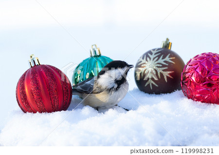 Holiday photo of hickadee with decorative Christmas bulbs on snow. Holiday photo of hickadee with decorative Christmas bulbs on snow. 119998231