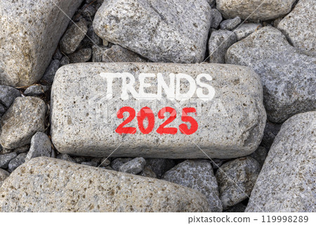 Planning trends 2025 new year symbol. Concept words Trends 2025 on beautiful grey stone. Beautiful grey stones background. Business trends 2025 new year concept. Copy space. 119998289
