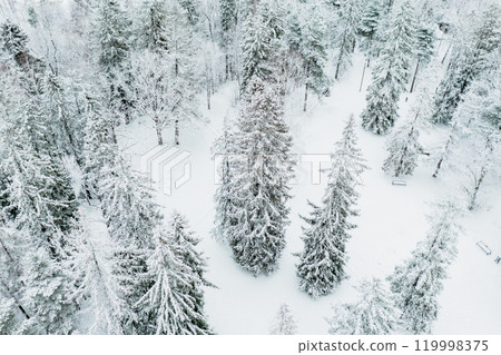 Forest in Estonia, covered with snow, aerial view. Winter seasonal landscape Forest in Estonia, covered with snow, aerial view. Winter seasonal landscape 119998375