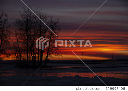 Colorful sunset in prairies with bare winter tree silhouettes. 119998406