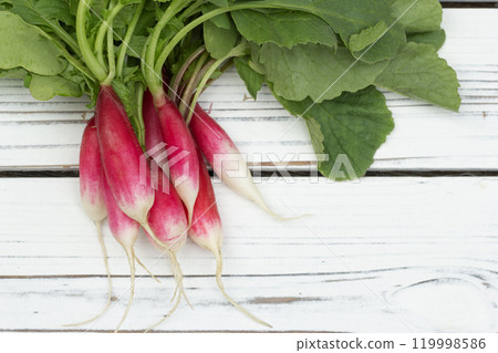 Angle view to a bunch of long radishes (French breakfast variety) with green leaves laying on the white wooden table. Angle view to a bunch of long radishes (French breakfast variety) with green leaves laying on the white wooden table. 119998586