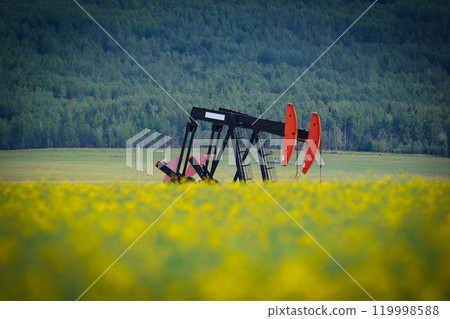 Pumpjack in the yellow blooming canola field and green forest hills in the background. 119998588