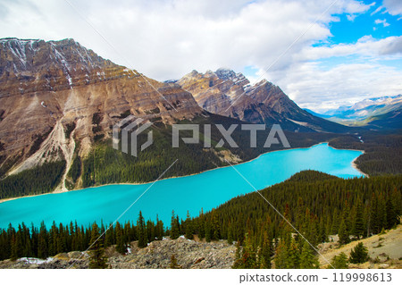Stunning lake with bright turquoise waters in the valley among spruce forests and mountains under blue sky. Peyto lake, The Rocky mountains, Canada. Stunning lake with bright turquoise waters in the valley among spruce forests and mountains under blue sky. Peyto lake, The Rocky mountains, Canada. 119998613