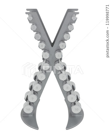 Gym Dumbbell rack, a stand for weightlifting gym equipment with different size and weight dumbbells, isolated on white background. 3D illustration Gym Dumbbell rack, a stand for weightlifting gym equipment with different size and weight dumbbells, isolated on white background. 3D illustration 119998771