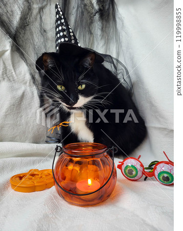 A big black cat in a witch's hat sits and looks at the burning fire in a pumpkin lamp 119998855