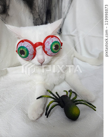 A beautiful white cat in creepy Halloween glasses lies quietly on a white blanket. 119998873