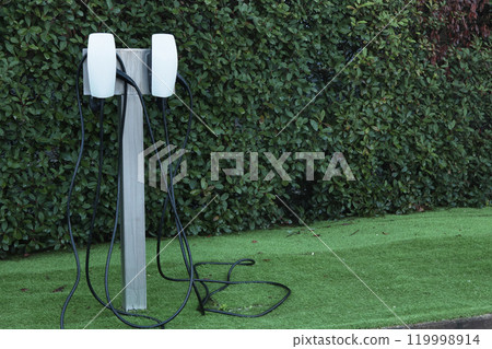 Fueling station for electric vehicles. Environmentally friendly natural resources. Healthy planet. 119998914