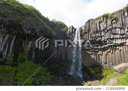 Svartifoss falls in summer season view, Iceland 119998999