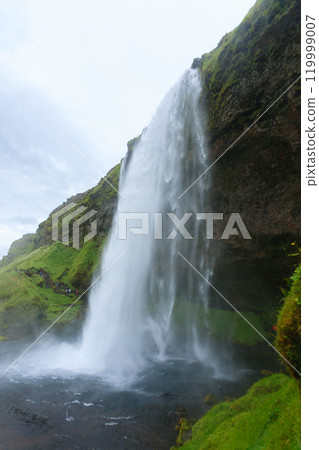 Seljalandsfoss falls in summer season view, Iceland Seljalandsfoss falls in summer season view, Iceland 119999007