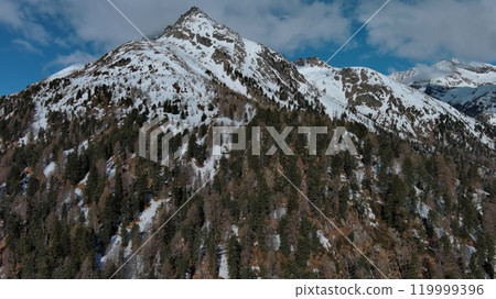 Snow Alp forest mountain range landscape 119999396