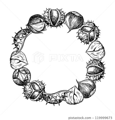 The frame is round with chestnut fruits. Vector graphics depicting a frame of chestnut fruits in the peel and without the peel, fried and raw. A black and white hand-drawn illustration. 119999673