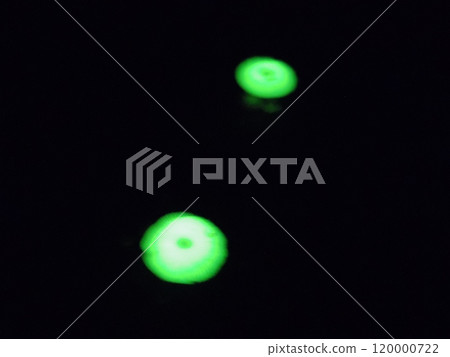 綠色佩佩 120000722