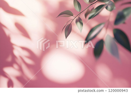 Green leaves shadow on pink backdrop Green leaves shadow on pink backdrop 120000943
