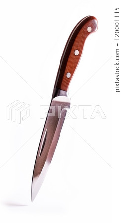 Kitchen knife isolated on a white background 120001115