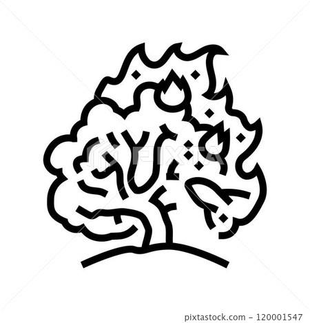 burning bush wildfire disaster line icon vector illustration burning bush wildfire disaster line icon vector illustration 120001547