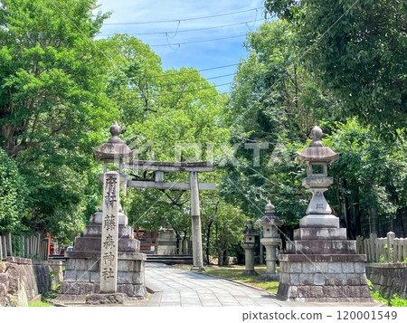 Torii gate on the approach to Fujimori Shrine 120001549