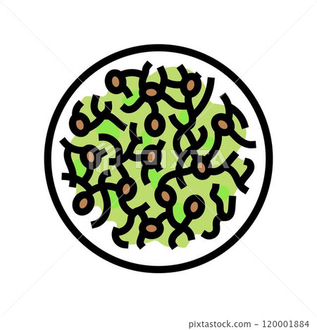 sprouted grains raw foodist color icon vector illustration sprouted grains raw foodist color icon vector illustration 120001884