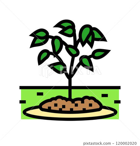 mulching garden maintenance color icon vector illustration 120002020