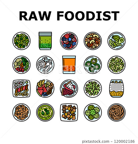 raw foodism food organic icons set vector raw foodism food organic icons set vector 120002186