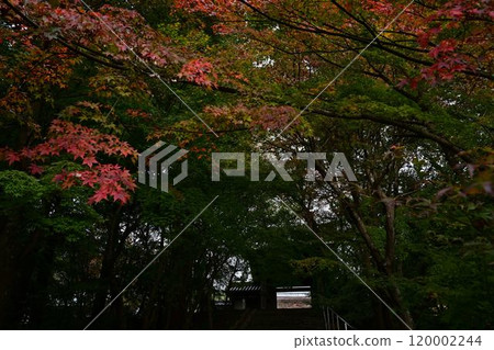 慶德山安國寺的秋天 慶德山安國寺的秋天 120002244