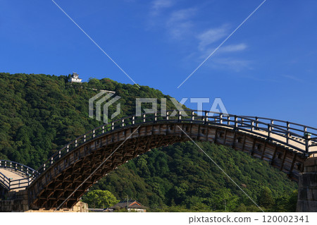 岩國錦帶橋 4386 120002341