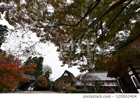 慶德山安國寺的秋天 120002404