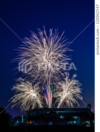 Biwako Gakuin University Autumn Leaves Festival: Like flowers on the school building 120002547