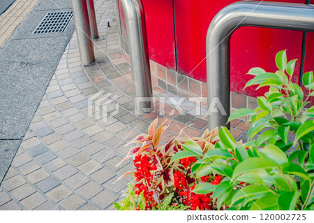 A vivid street corner [Gondo Shopping Street] 120002725