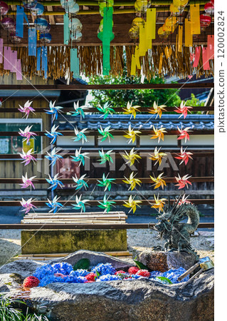 Reaching the sky - Gradient Tanabata decorations at Yakawa Shrine Reaching the sky - Gradient Tanabata decorations at Yakawa Shrine 120002824