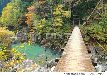 秋山鄉秋滿橋 120002955