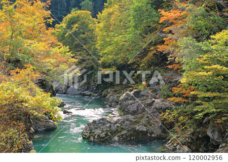 秋山鄉,三倉橋附近的中津川溪谷 秋山鄉,三倉橋附近的中津川溪谷 120002956