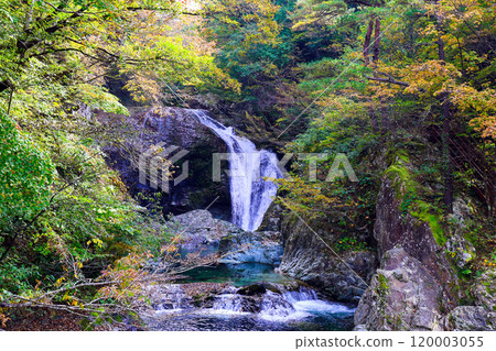 Sekiyama Falls colored by autumn leaves Sekiyama Falls colored by autumn leaves 120003055